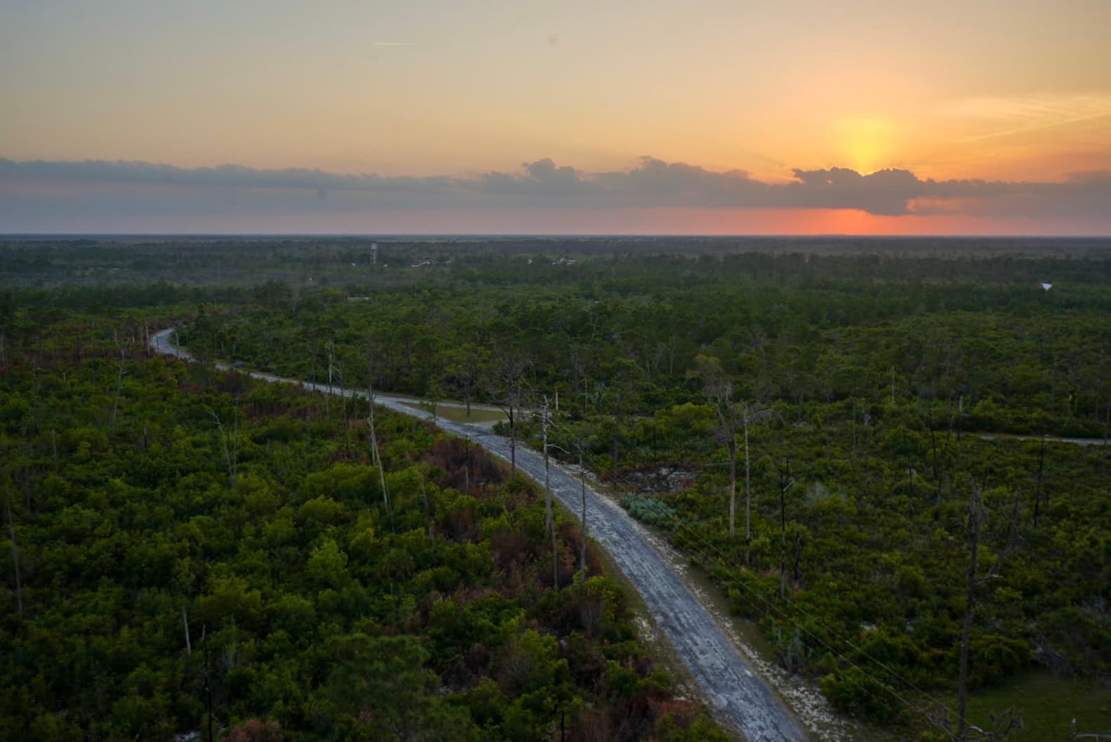 Fire watch tower view