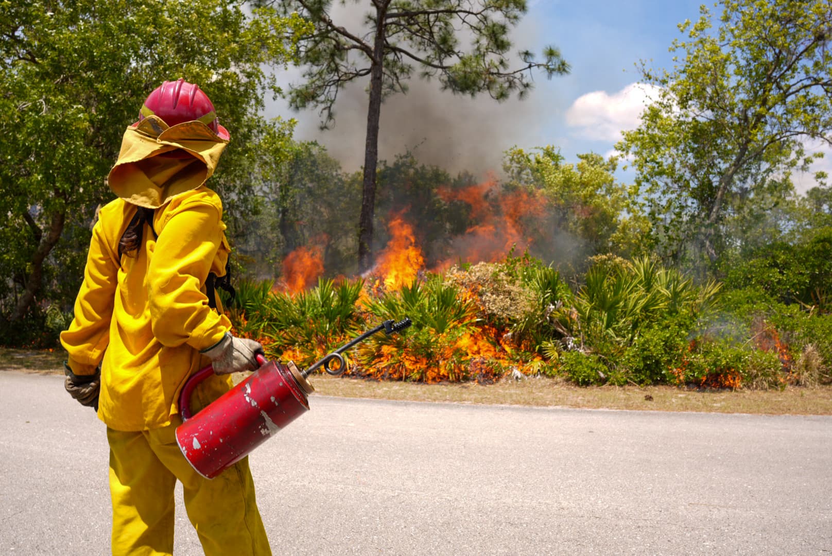 Prescribed burning