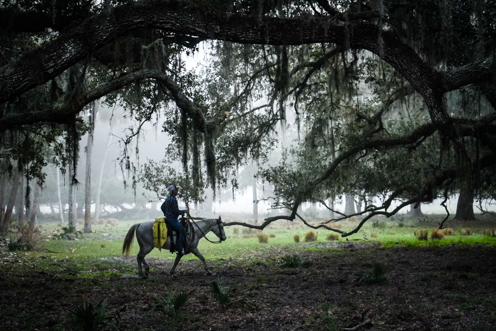 Rancher in hammock