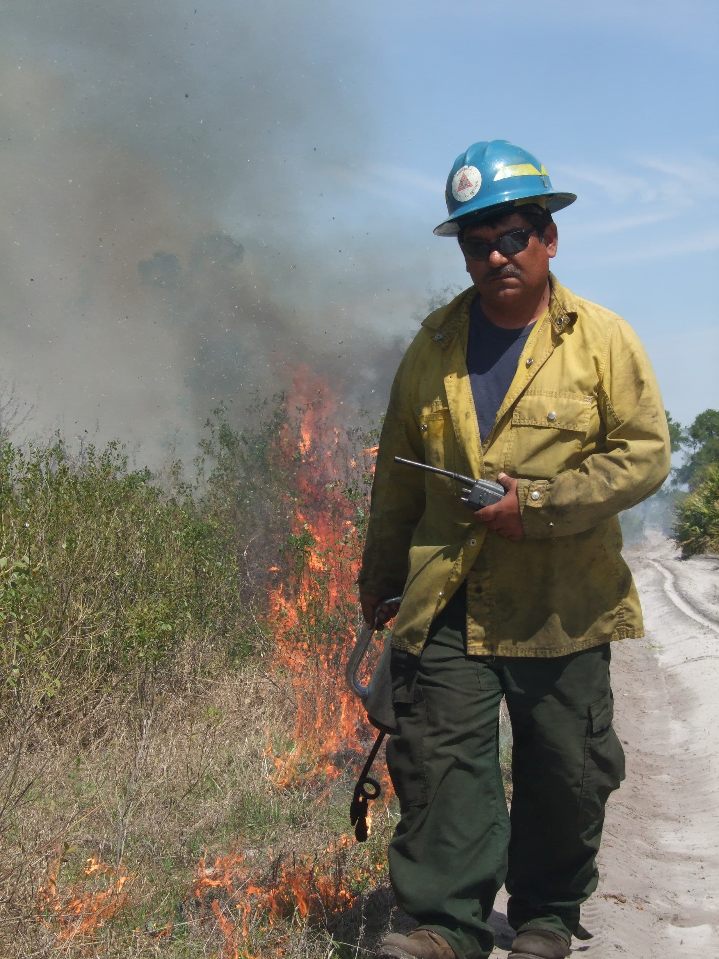 DSCF2716 fire management lupe