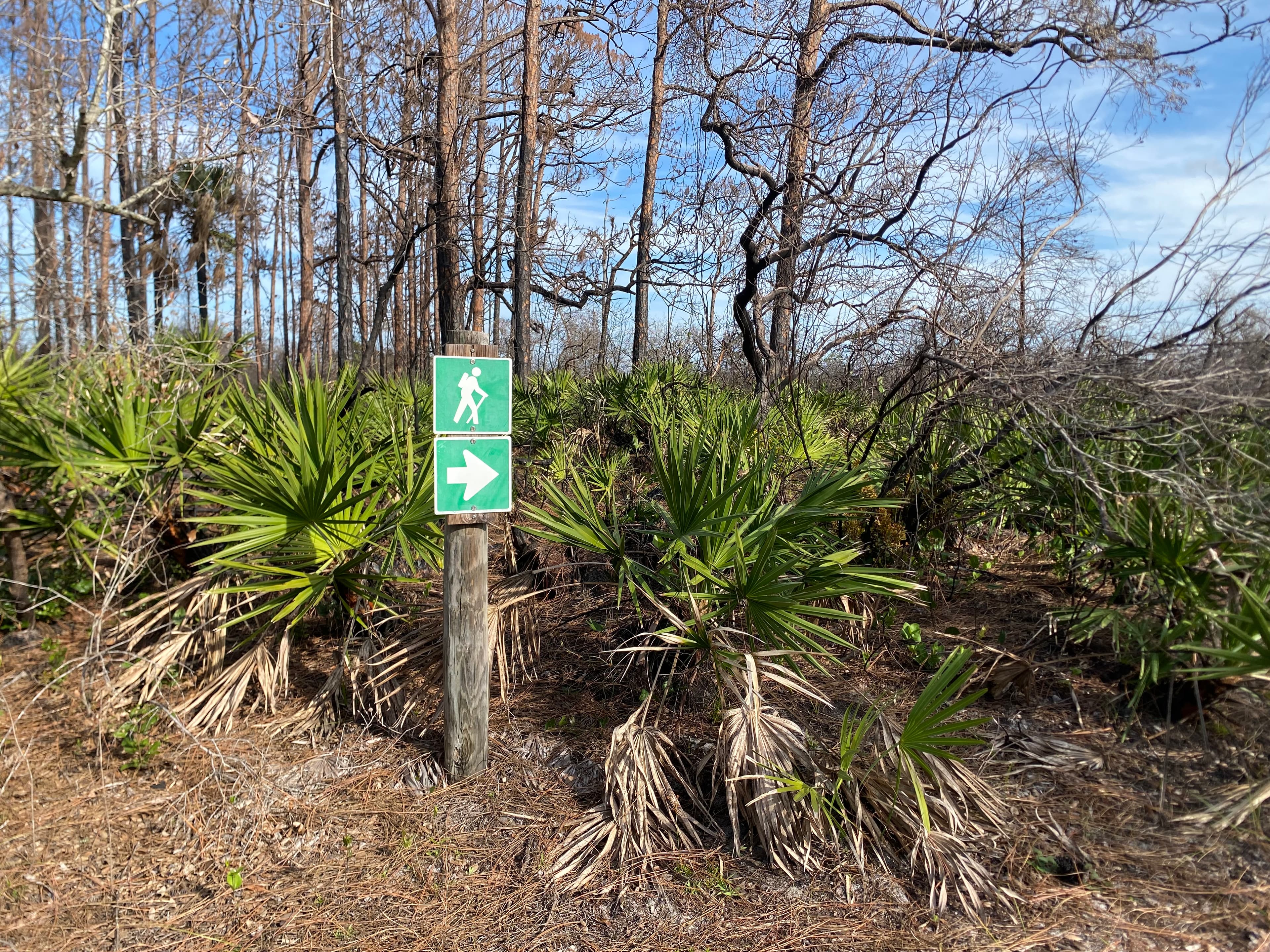 The Discovery Loop is a quarter-mile hiking trail perfect for a quick stroll through the scrub. Photo by Katie Caldwell. 