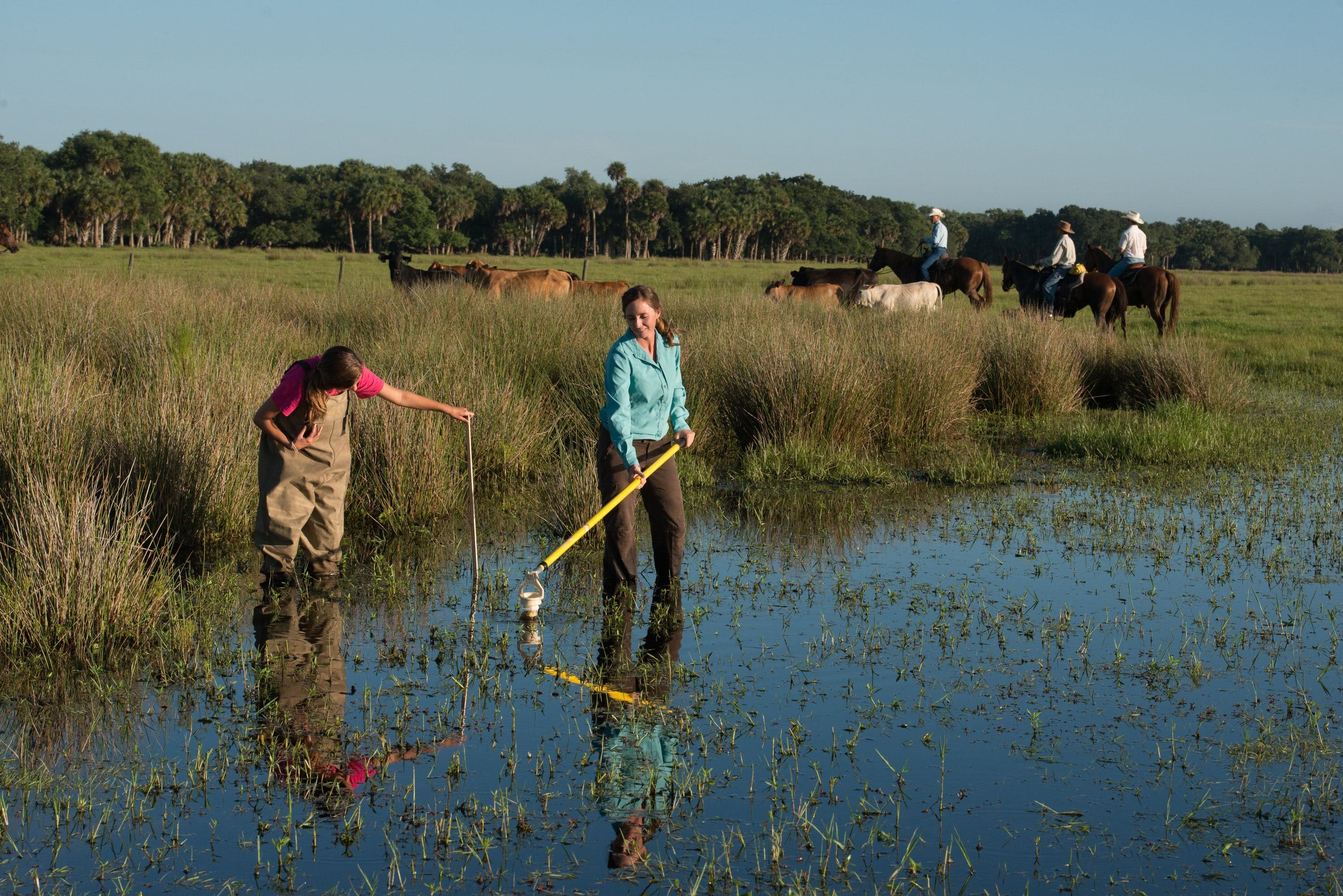 betsey water sample wetland ranch CW
