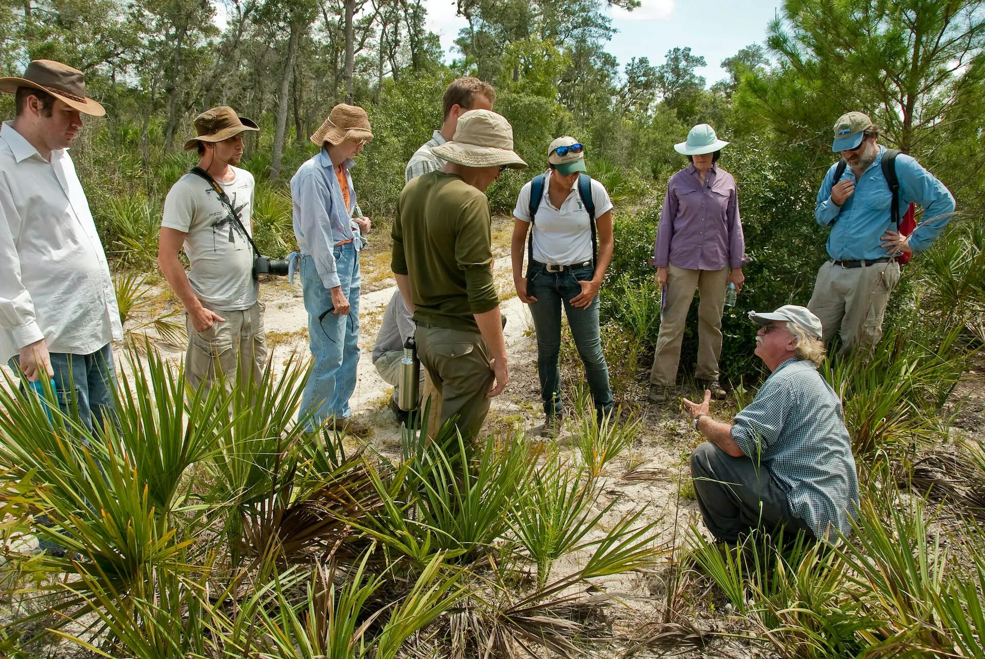 Archbold interns visit Plant ecology study site at Carter Creek