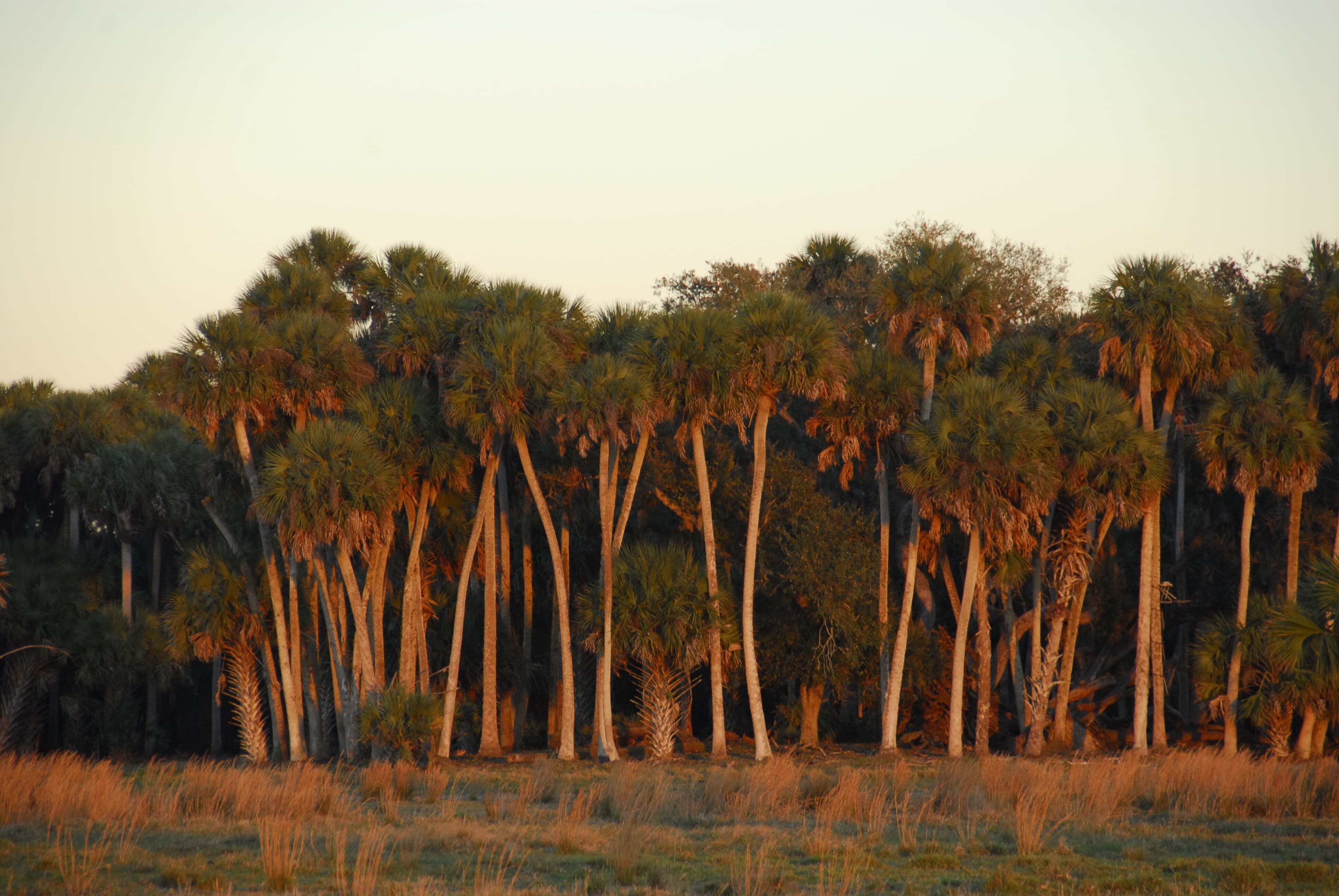 Ranch Habitats