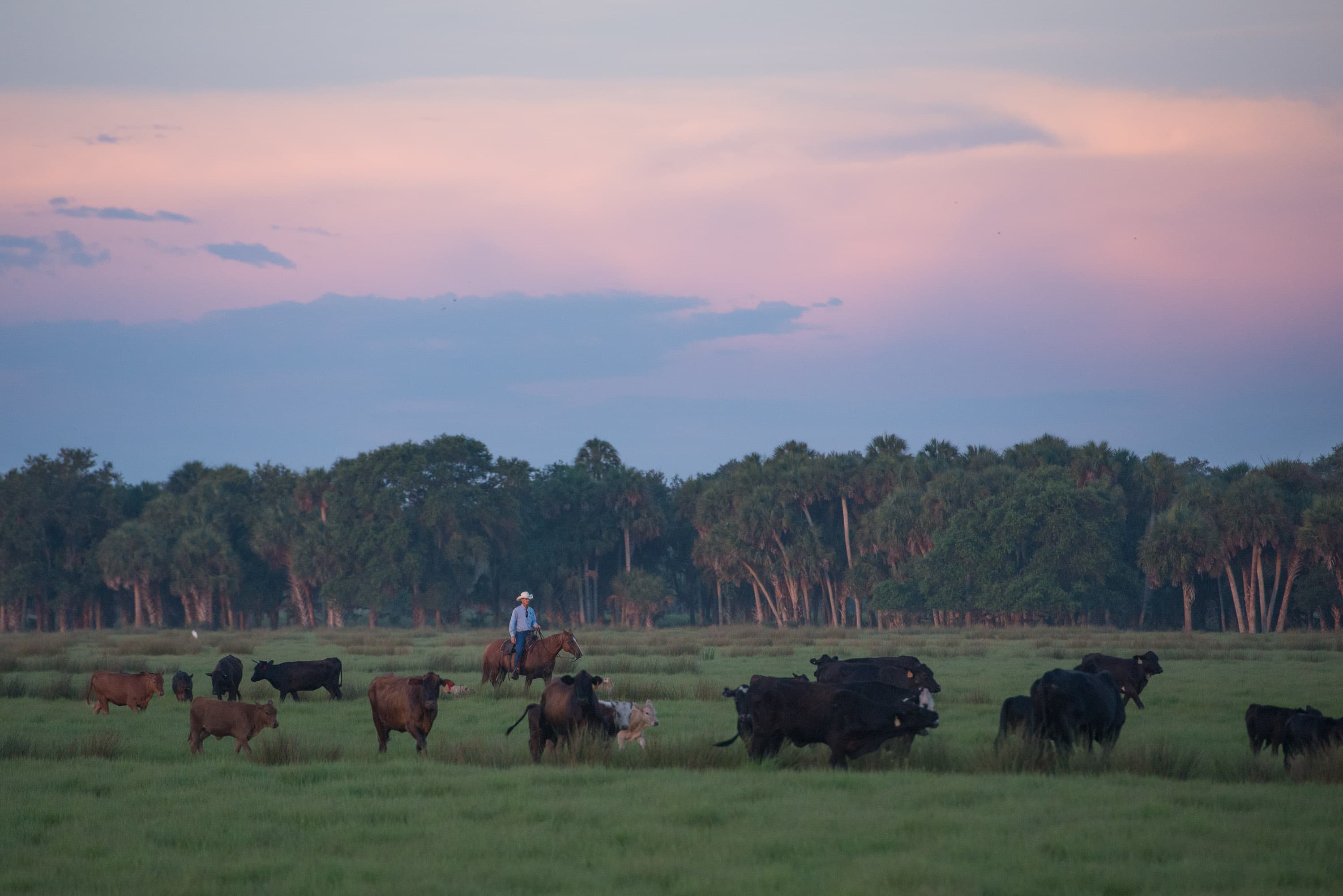 Ranch Habitats