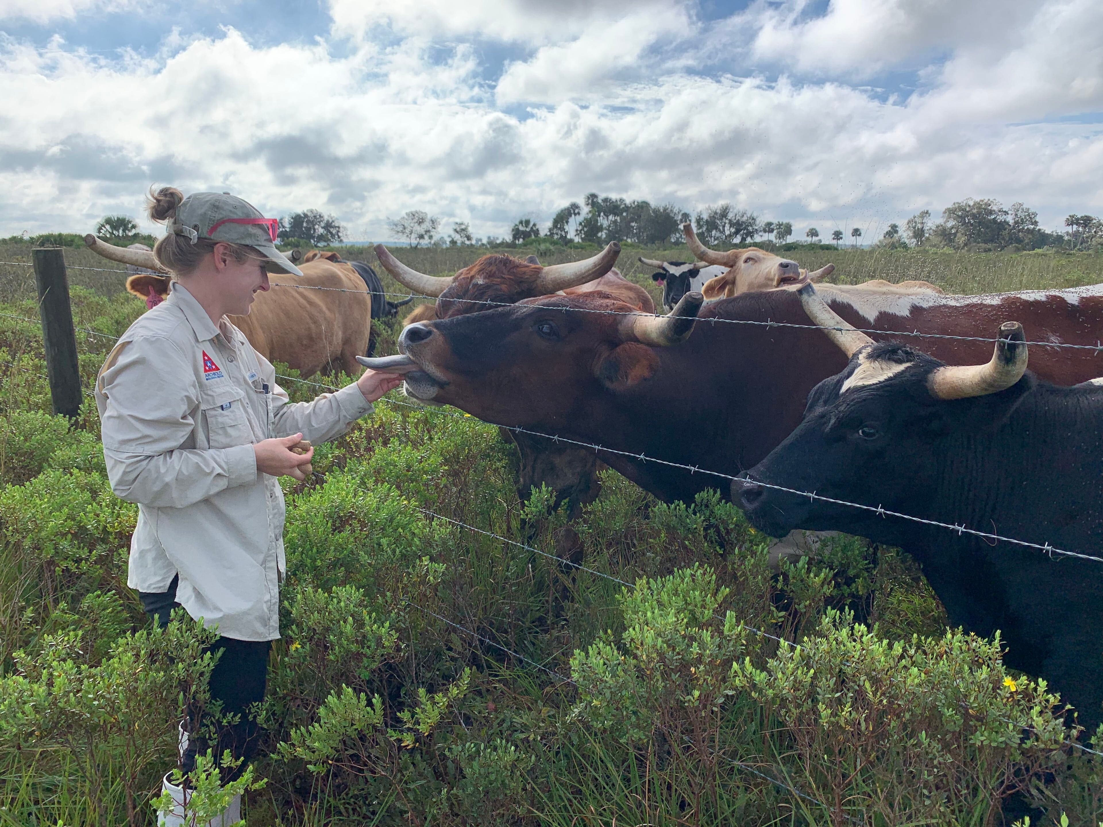 Climate change on the Ranch