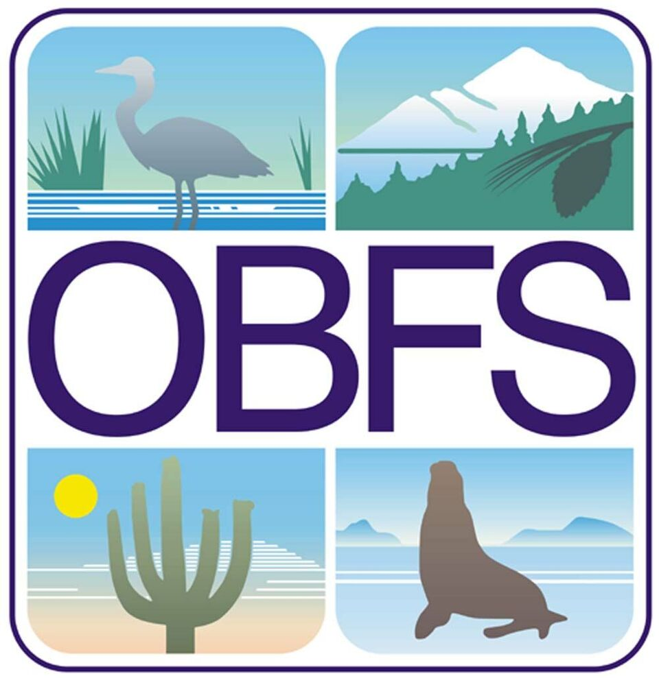OBFS