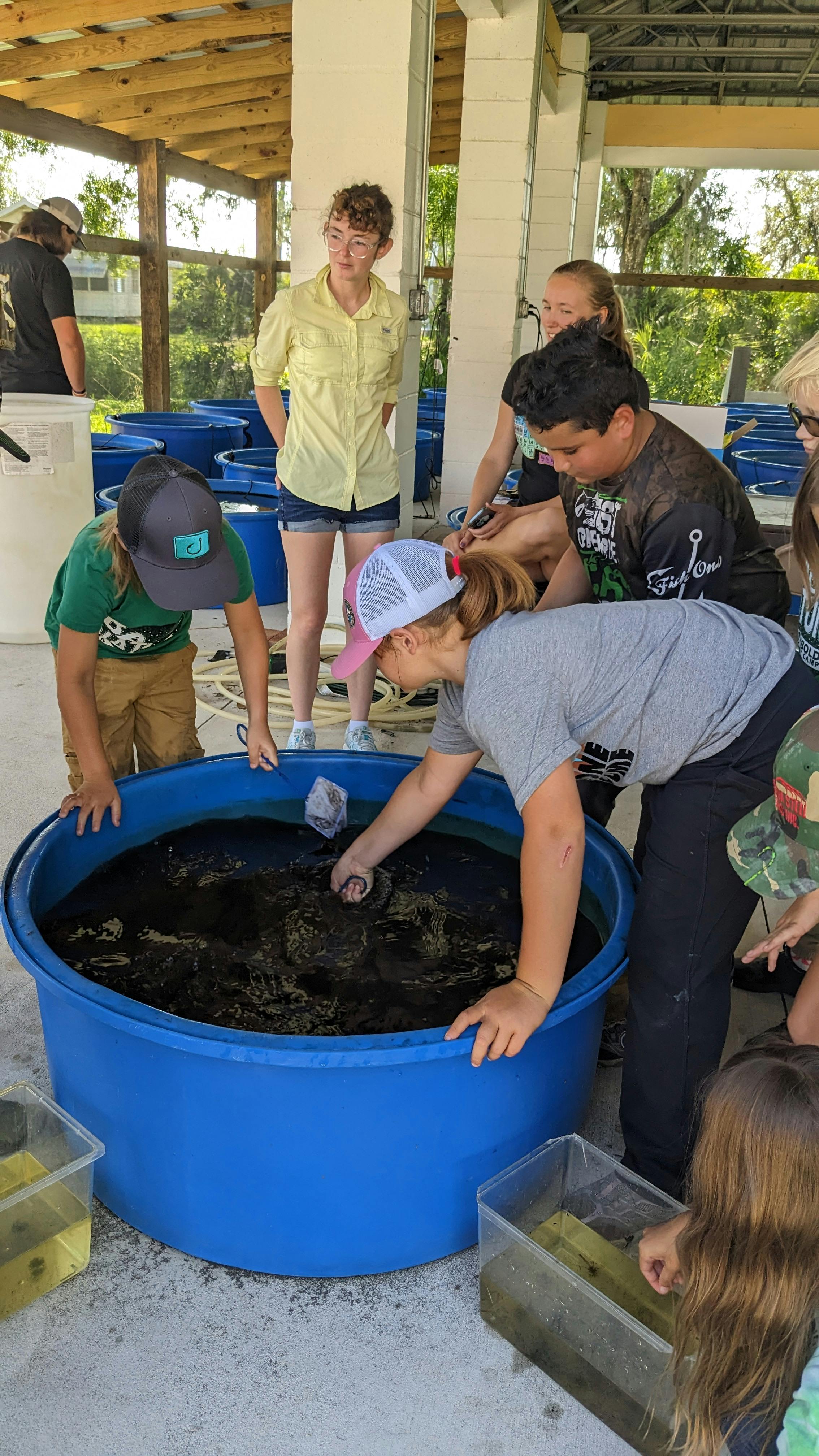 Campers learning about fish