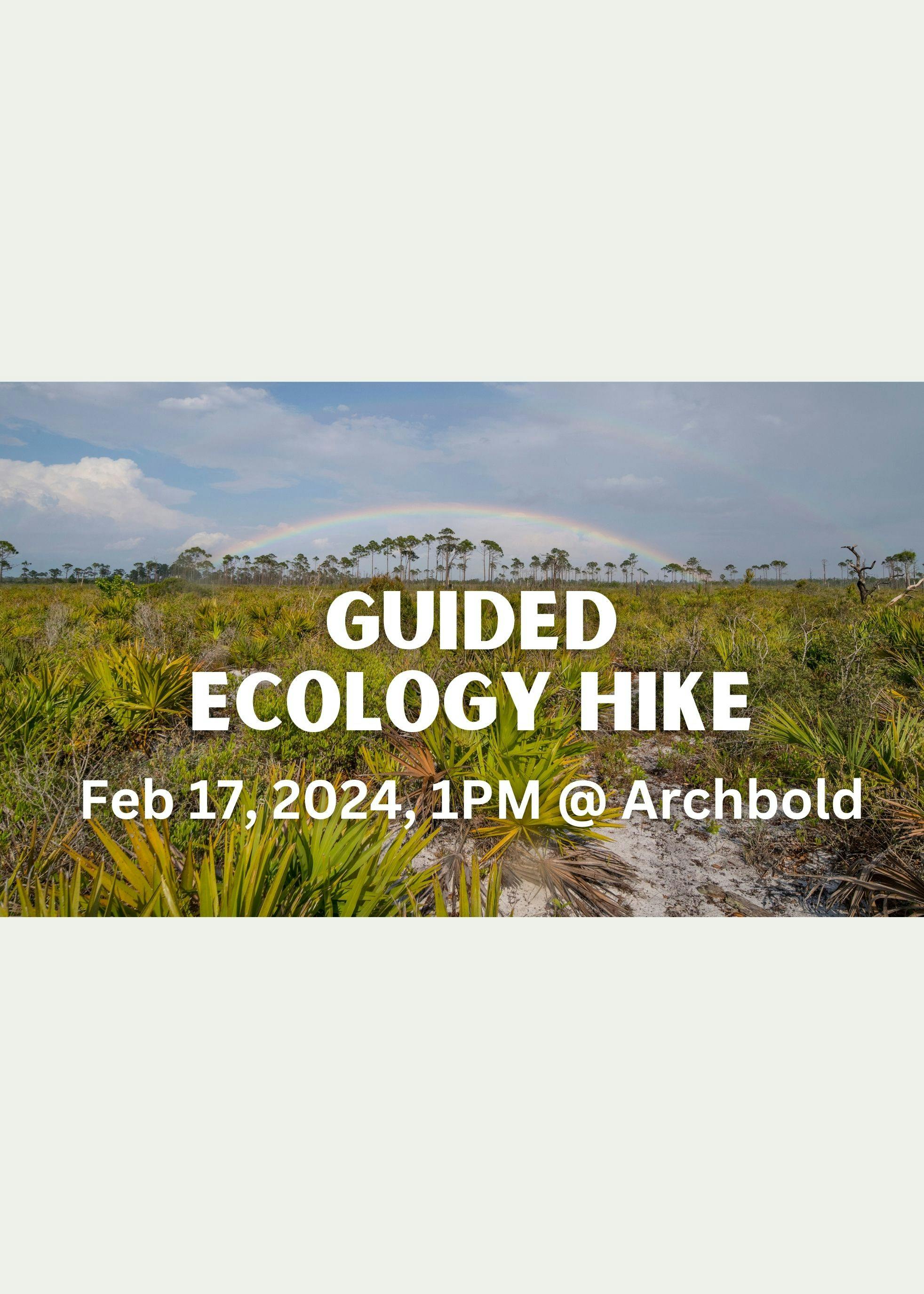 Guided Ecology Hike, Feb 17, 2024, 1PM at Archbold