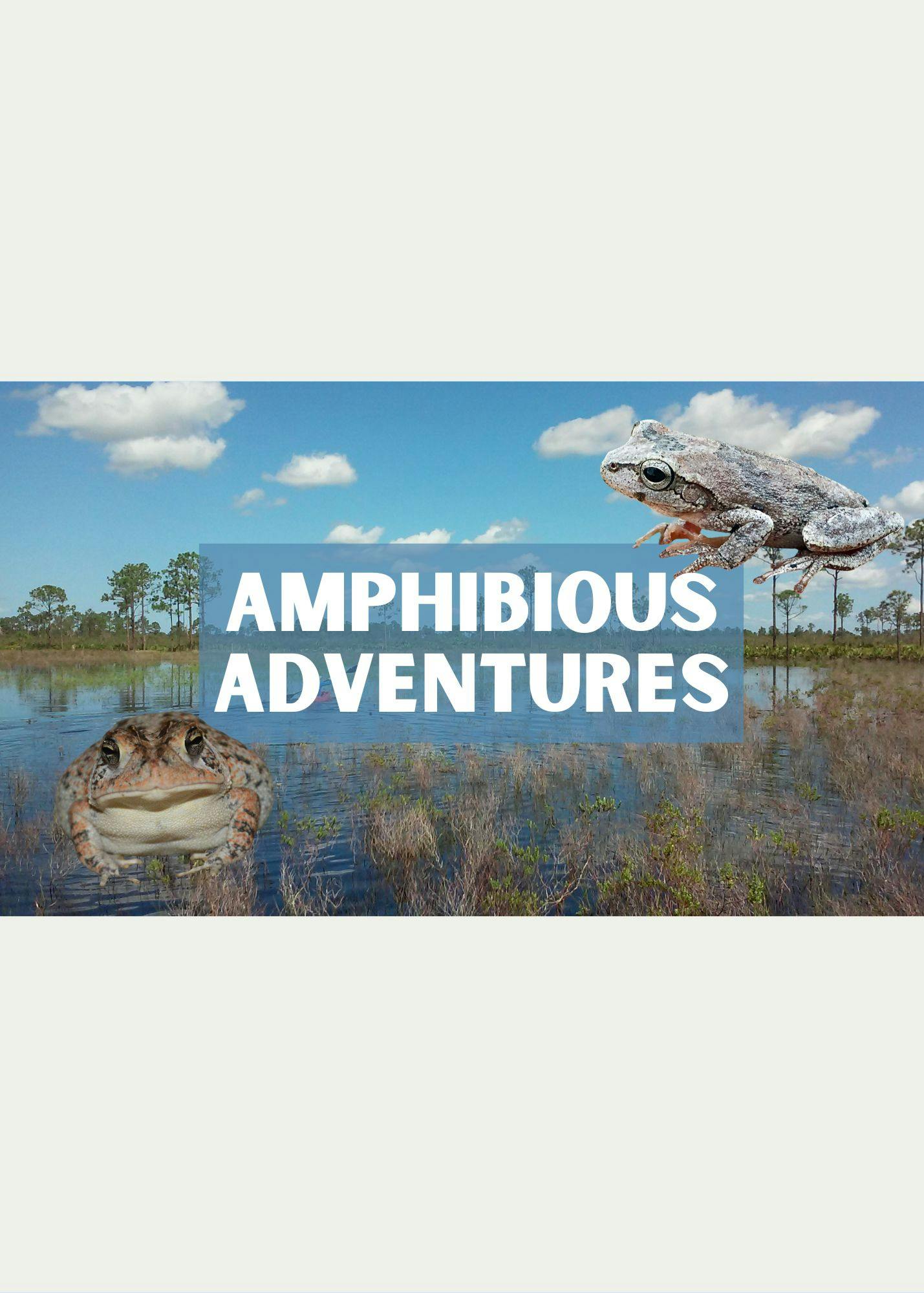 Amphibious Adventure