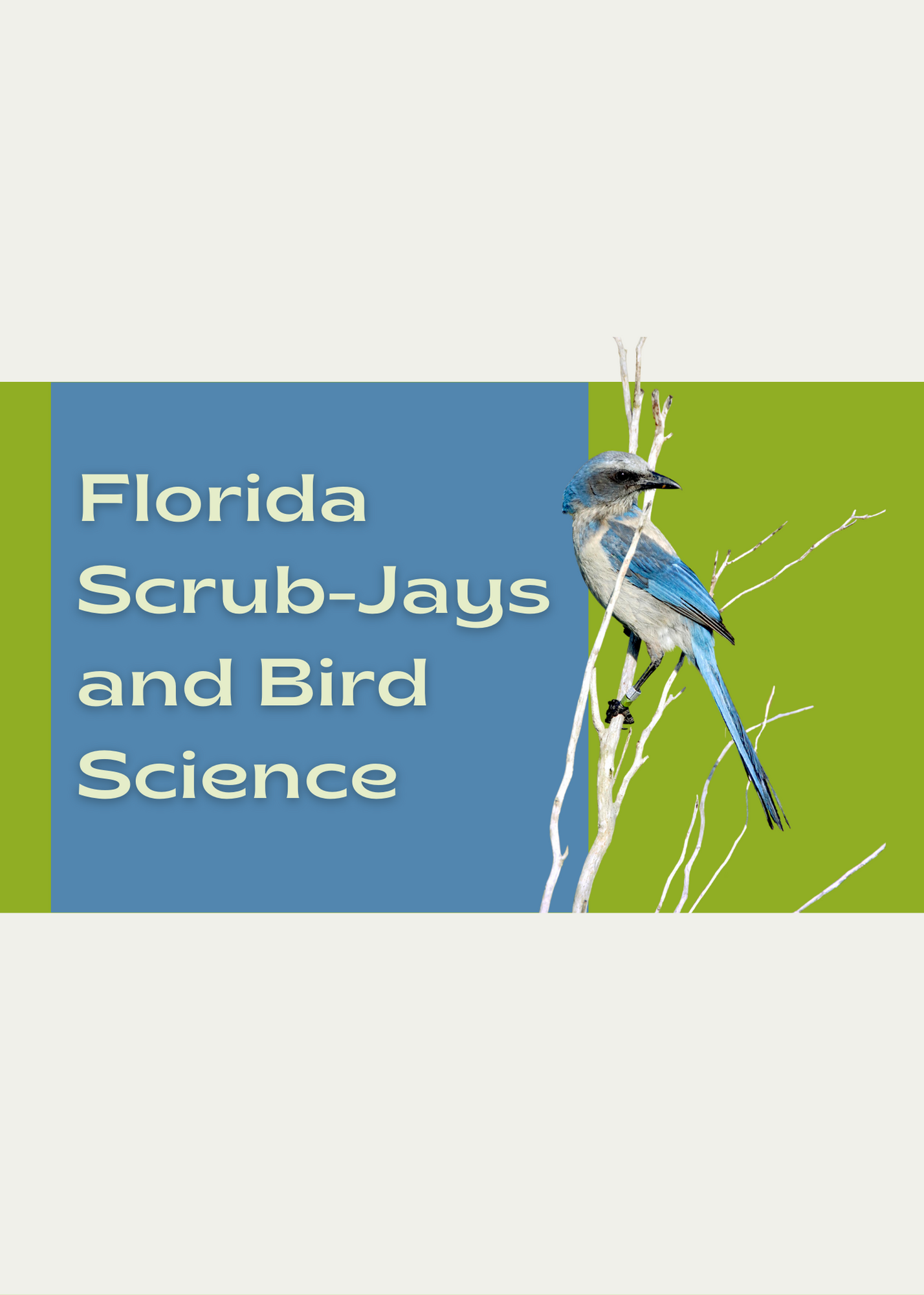 Florida Scrub Jays & Bird Science
