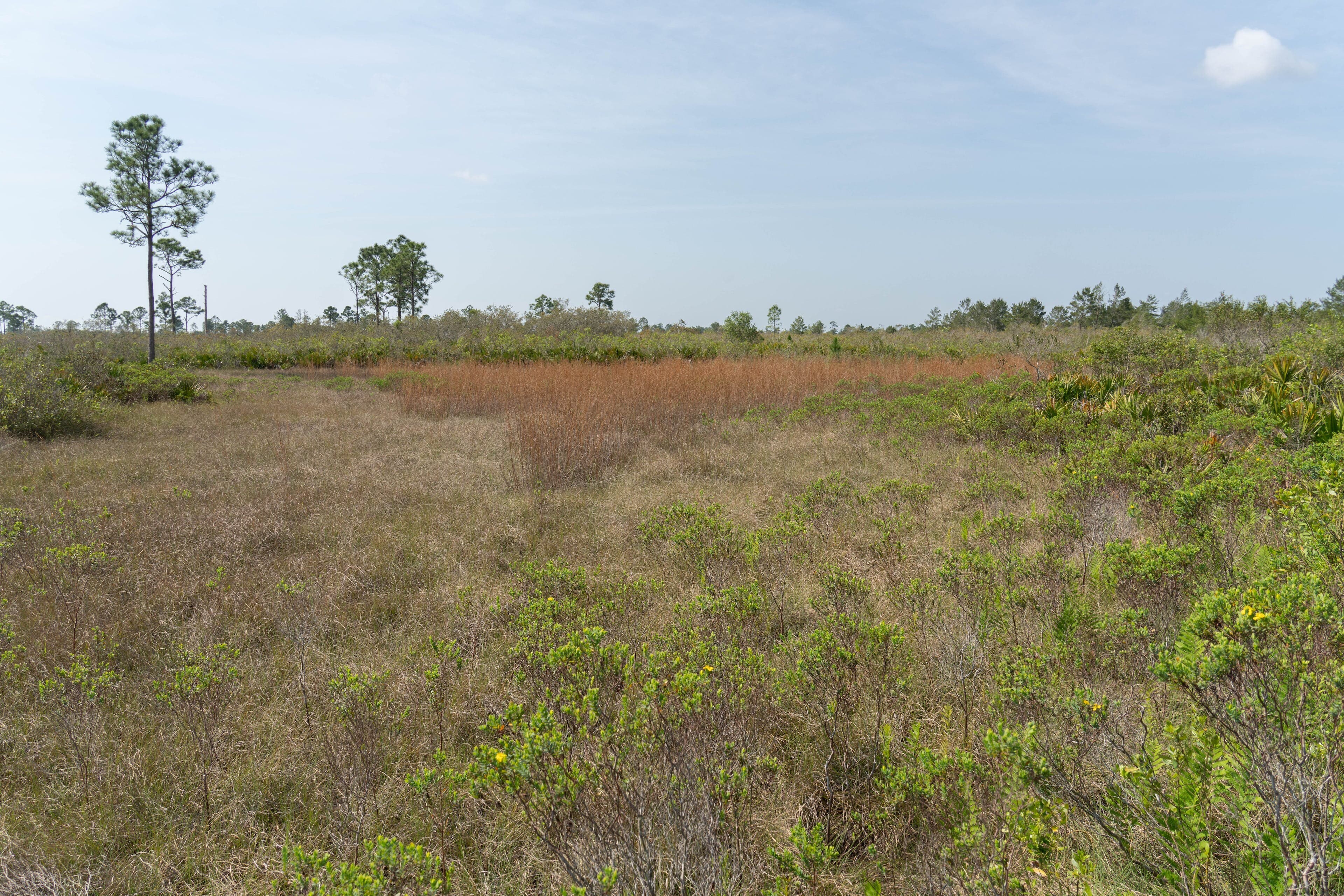 swales and seasonal ponds