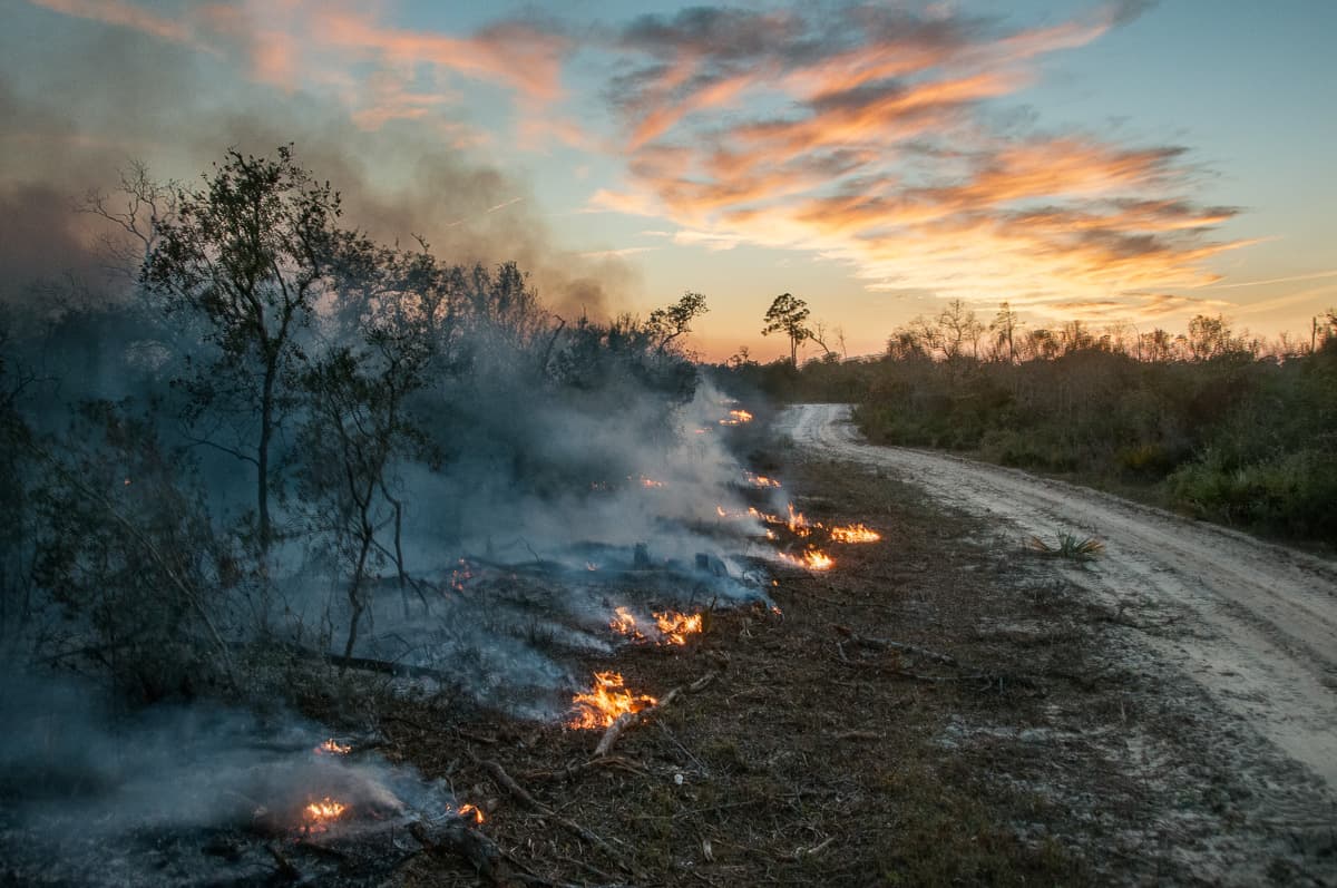 20150107_Red_Hill_Fire_660-Edit fire management