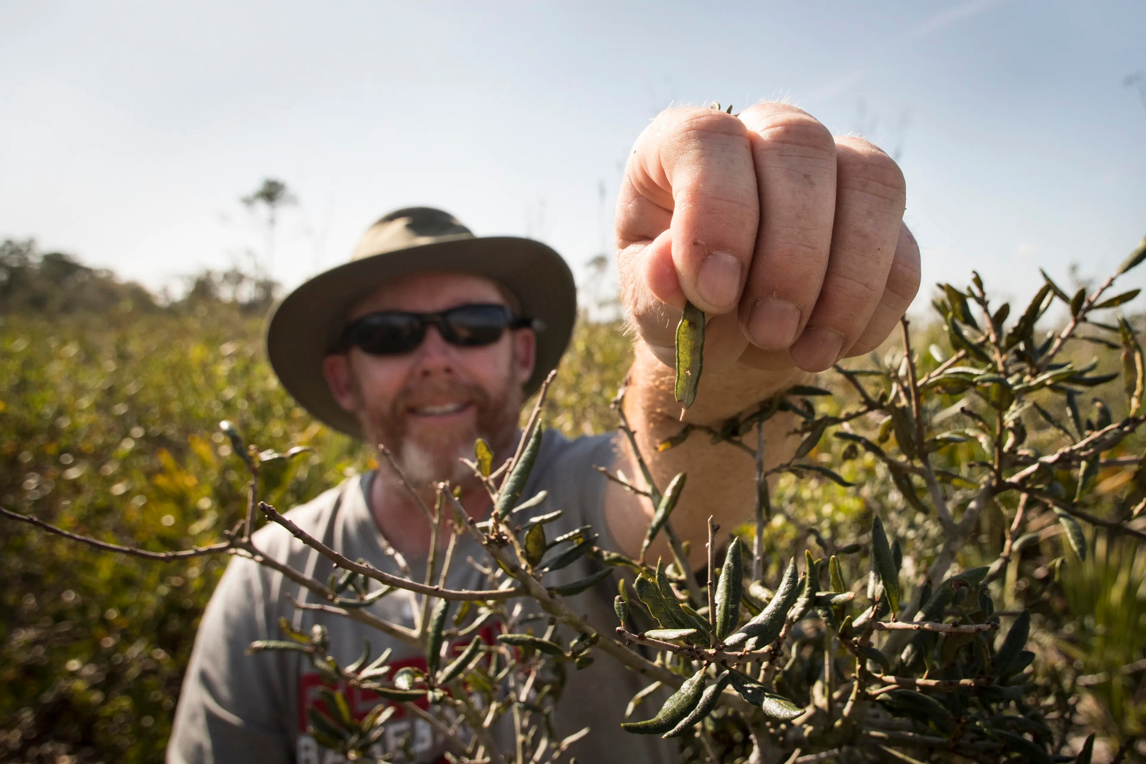 Abre_and_JimCronin_gallWasps
