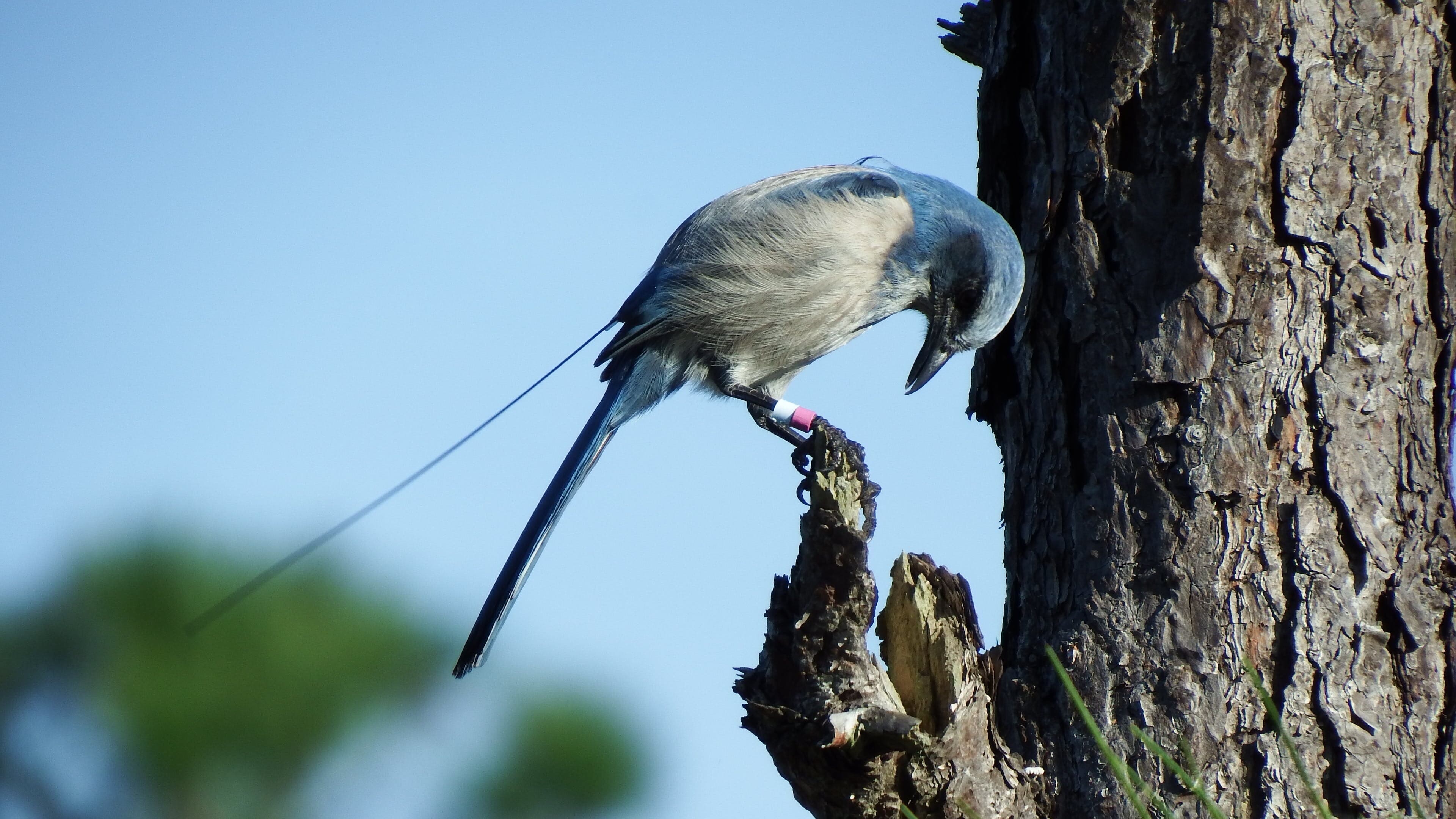 Everyone, everywhere, all at once, and all the time