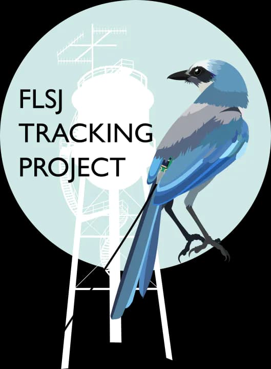 Everyone, everywhere, all at once, and all the time