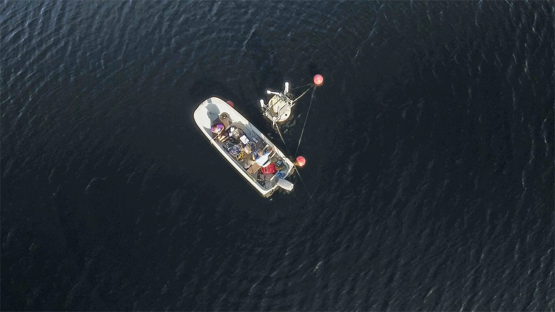 Kevin Main, Archbold Land Manager has conducted monthly sampling since 2005. Photo by Jennifer Brown, Into Nature Films.