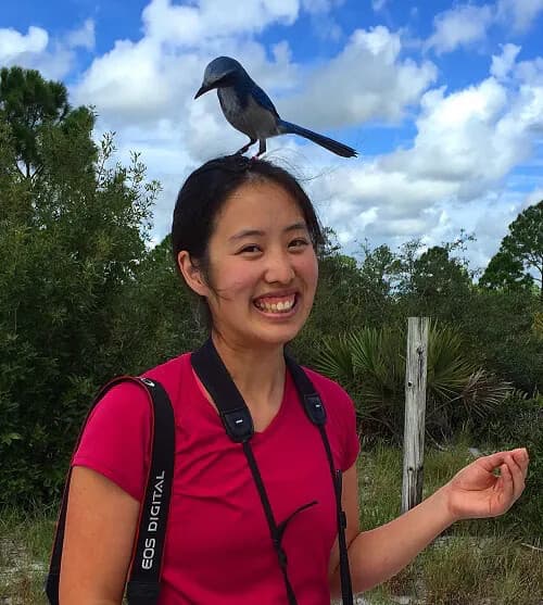 Nancy Chen, Ph.D., Research Affiliate