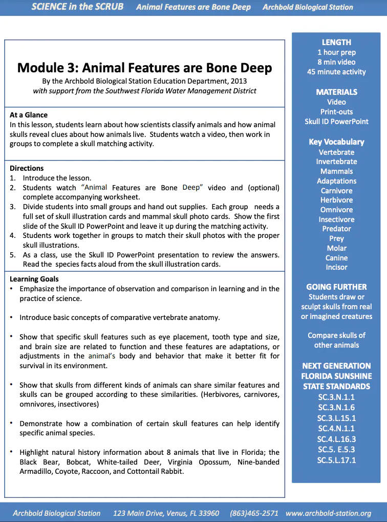 Module 3 Lesson Plan