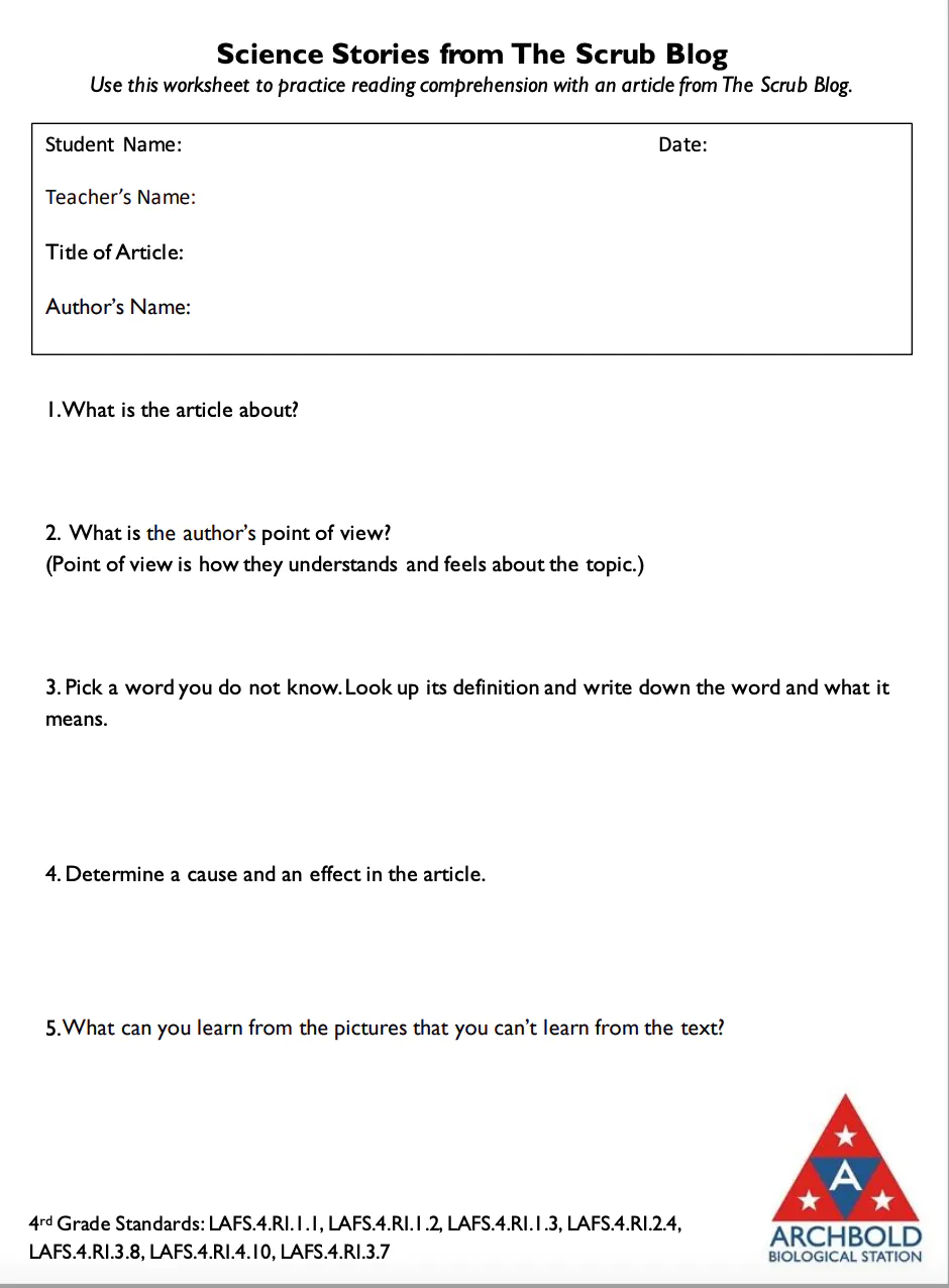4th Grade Reading Worksheet