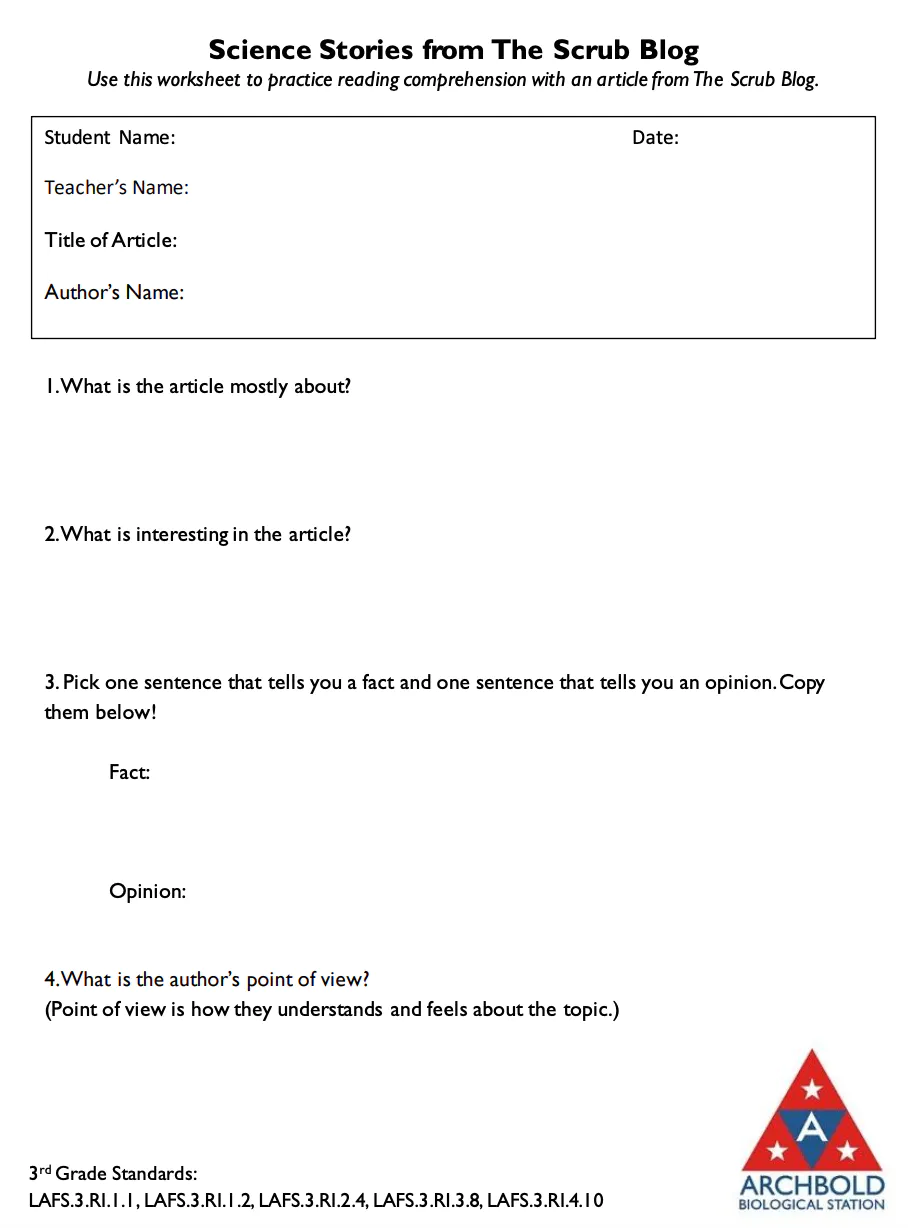 3rd Grade Reading Worksheet