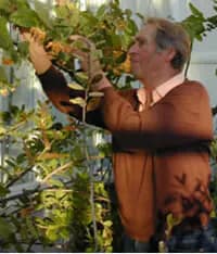 Sam P. Van Der Kloet