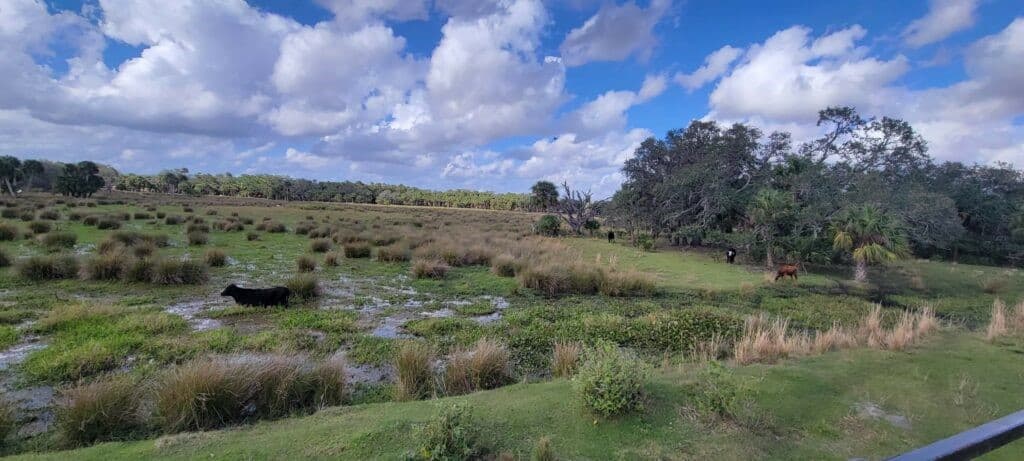 photo of buck island ranch week 284